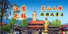 外国免费吊逼视频江苏无锡灵山大佛旅游风景区